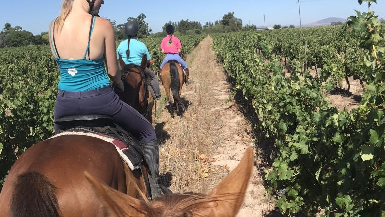 FULL DAY HORSEBACK WINE TOUR image 4