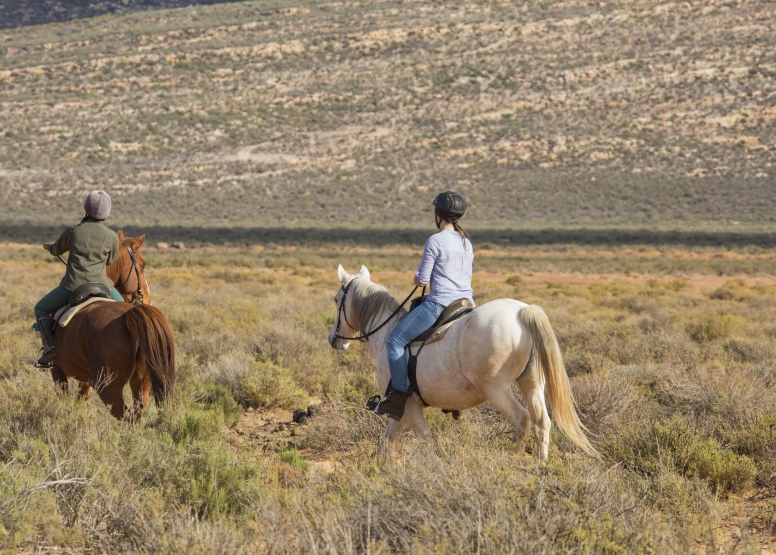 Horseback Safari (Including Transfer) image 8