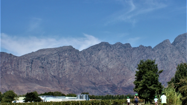 Franschhoek Experience image 2