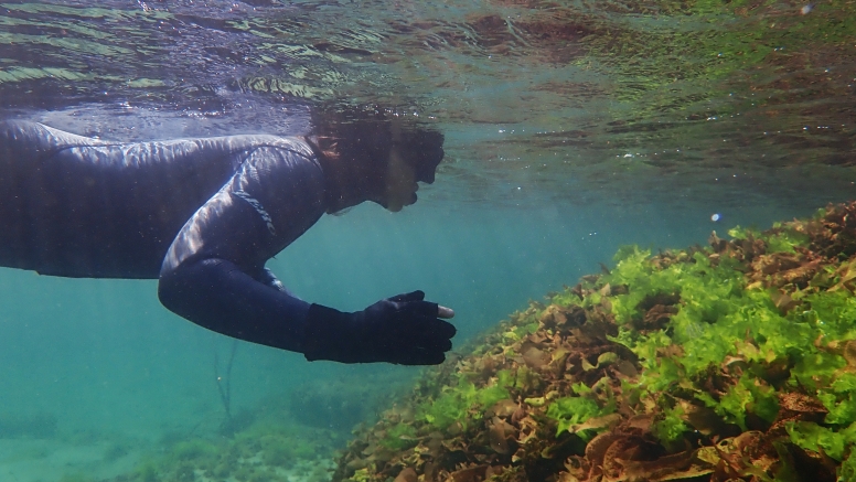 Snorkel Cape Town's Stunning Tidal Pools image 5