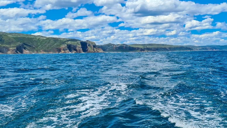 Knysna Sunset Cruise on Larabelle image 1