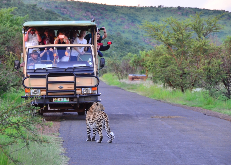 Game Drive Bakubung Gate SA Residents image 2