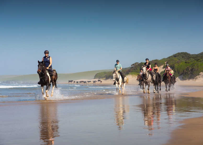 7 night 8 day Wild Coast Horse Trail our Signature Monthly Adventure Trail image 7