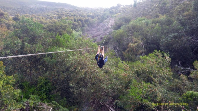 Tree Top Slides (Caledon) image 2