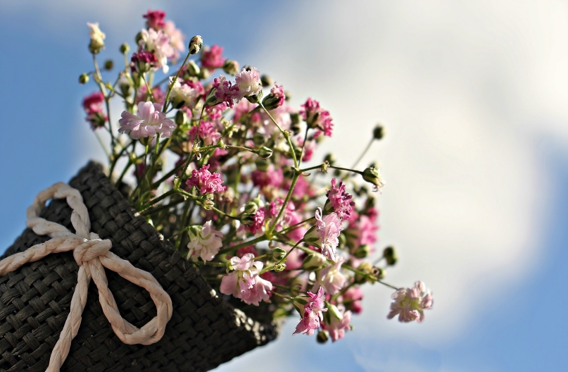 mothers day flowers