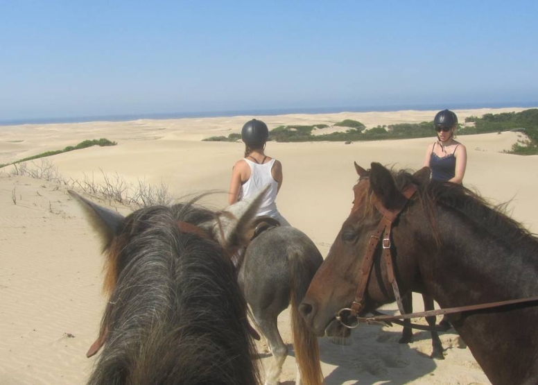 Beach Horse Trail Advanced image 1