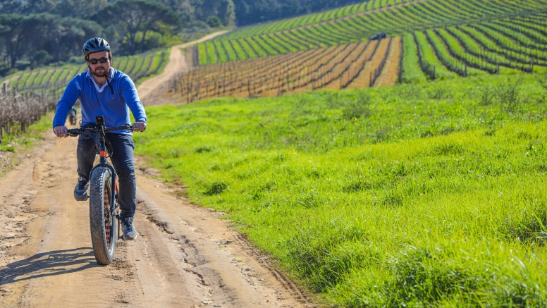 Electric Bike Winelands Tour image 1