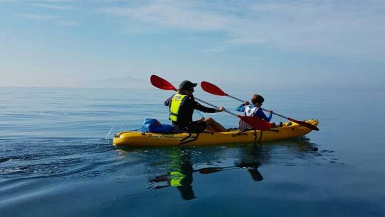 Penguin Kayak Paddle image 3