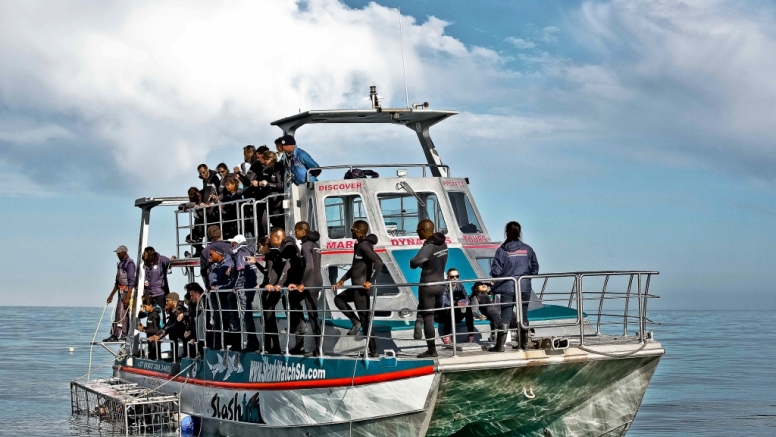 Shark Cage Diving Gansbaai - South African Special image 3