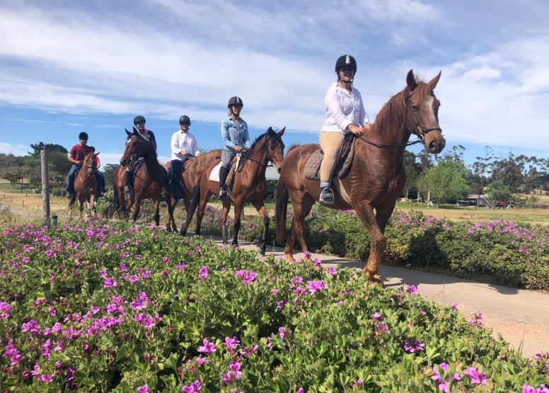 1 HOUR VINEYARD RIDE image 4