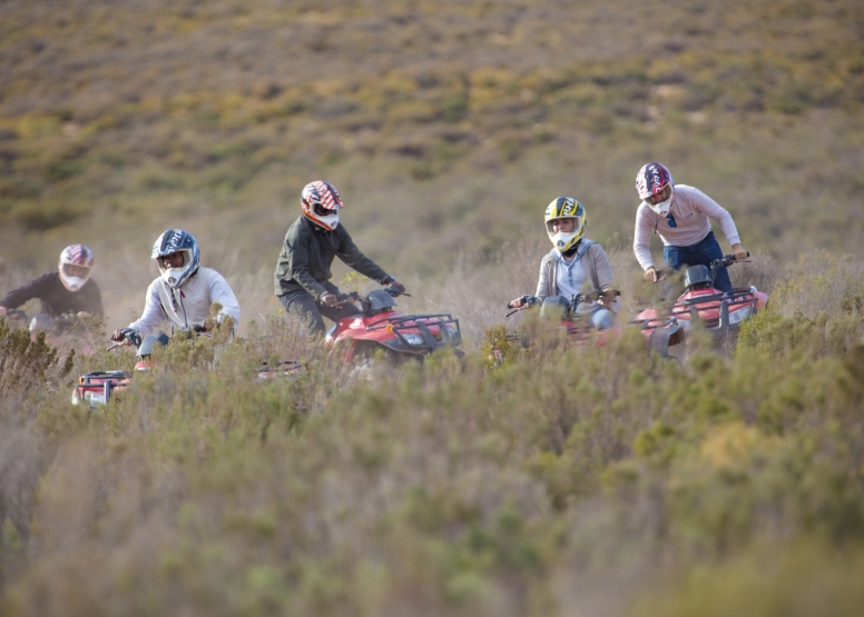 Quad bike Safari (Including Transfer) image 4