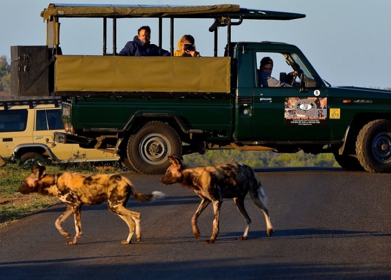 Half Day Hluhluwe-Imfolozi Safari image 1