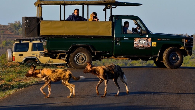 Half Day Hluhluwe-Imfolozi Safari image 1