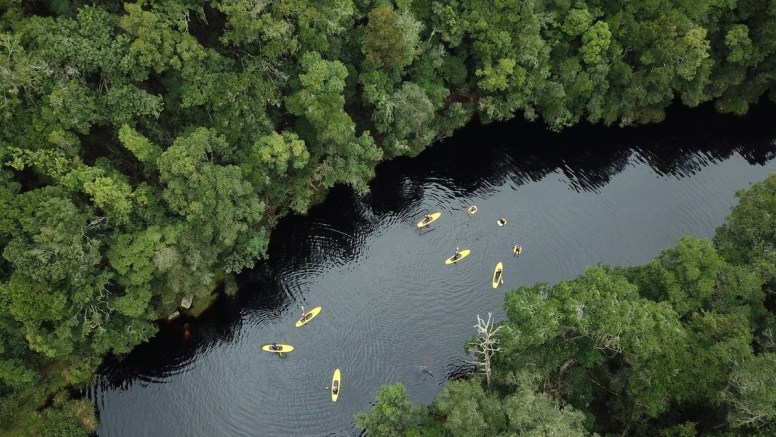Tubing and SUP Forest Combo image 1