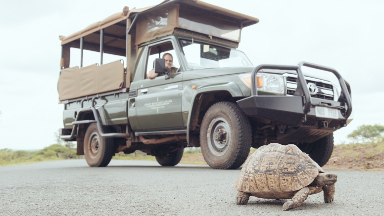 Hluhluwe Game Drive - Full day with lunch image 1