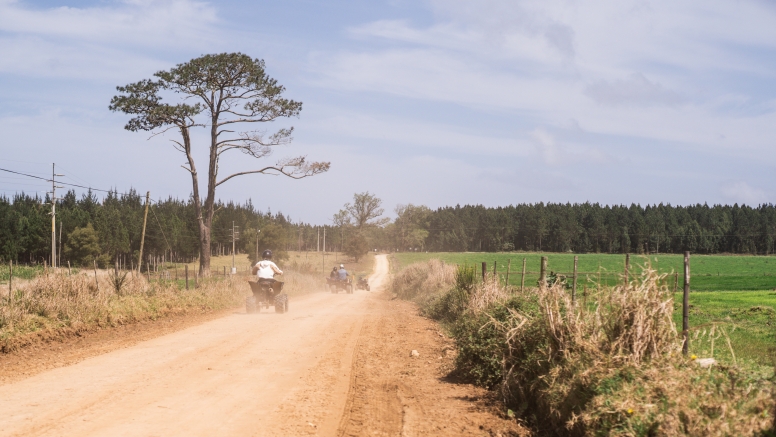 1 Hour Quad Bike Tour Tsitsikamma at Misty Mountain image 15
