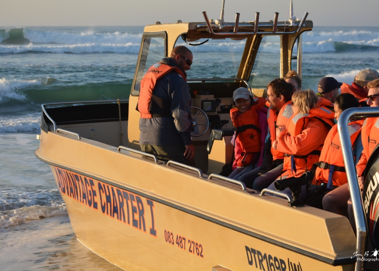 Whale & Dolphin Watching image 6