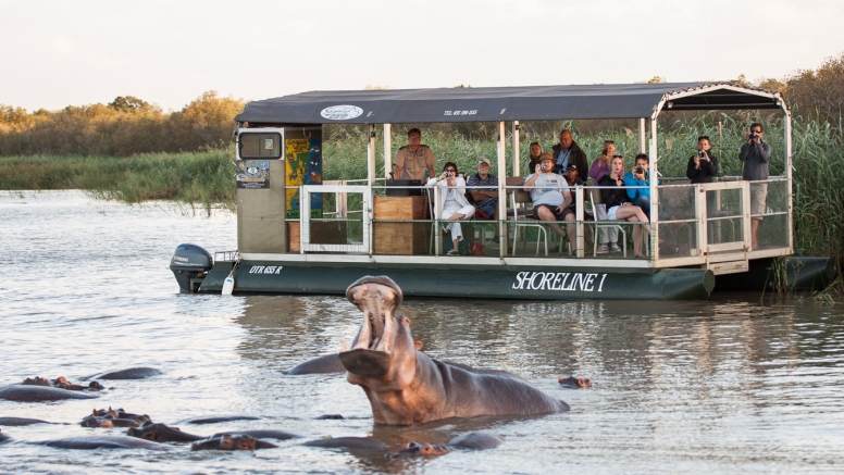 Hippo & Croc Boat Cruise image 3