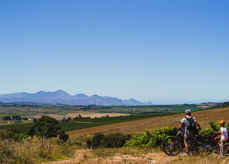 Stellenbosch Family Tour image 2