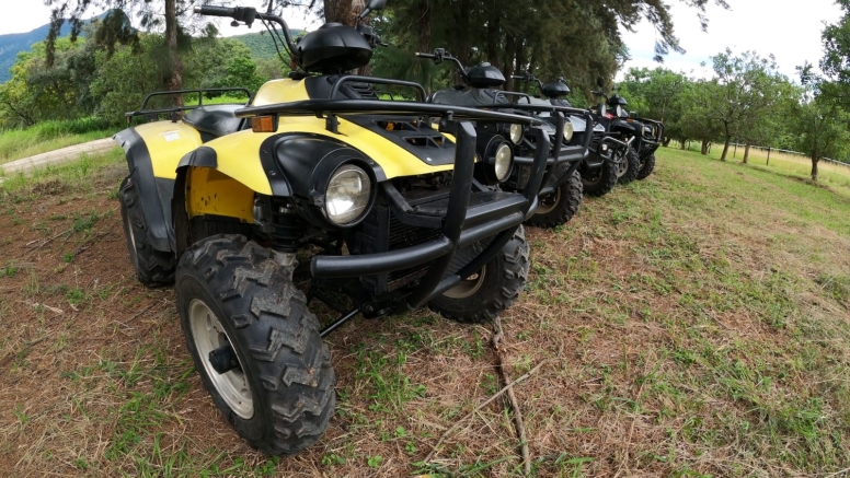 1 Hour Quad Bike Trail Buffaloland in Hoedspruit image 6