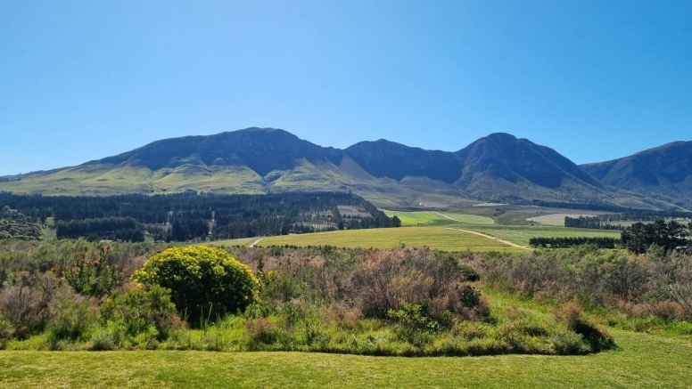 Full Day Hermanus image 5