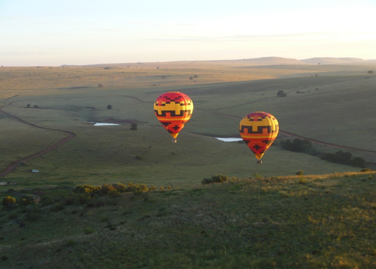 Safari Flight image 4