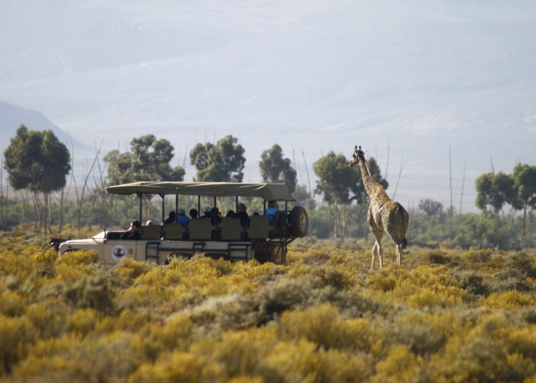 One Day Safari at Inverdoorn Safari Lodge & Game Reserve image 2
