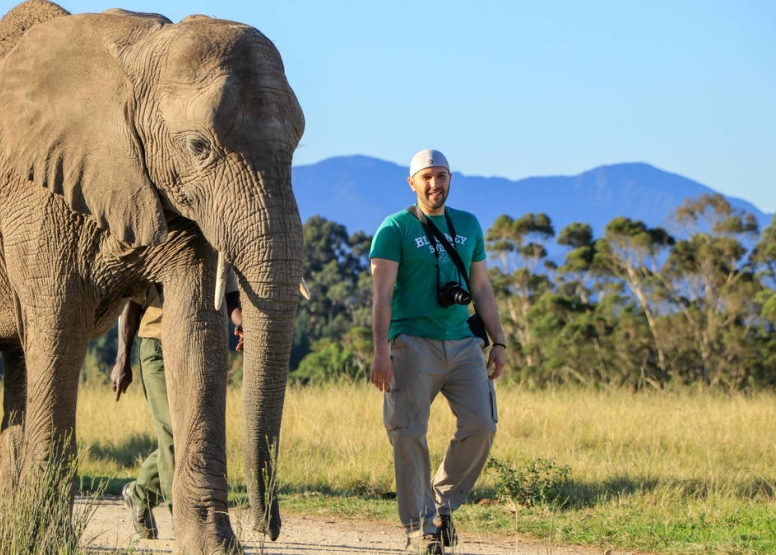 Afternoon Elephant Walk image 4