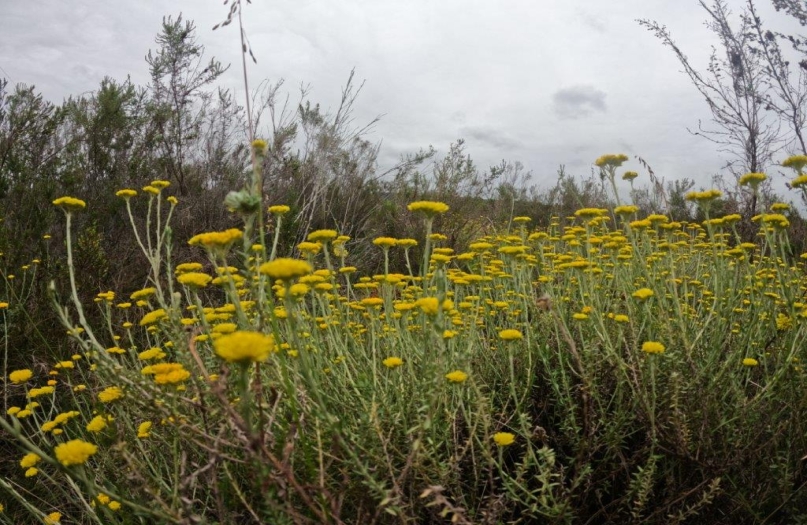 wilderness accommodation, garden route accommodation