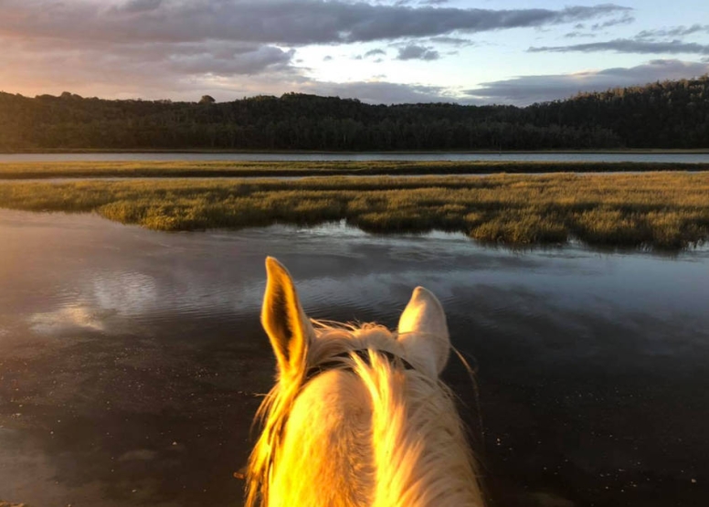 Kariega River Horse Ride image 1