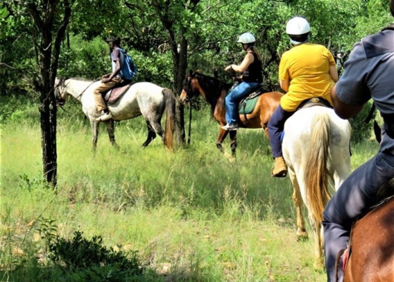 1 Hour Sunset Horse Ride Harties image 1