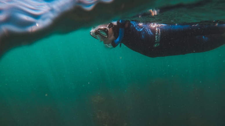 Great African Sea Forest Single Scuba Dive Boat Entry image 6