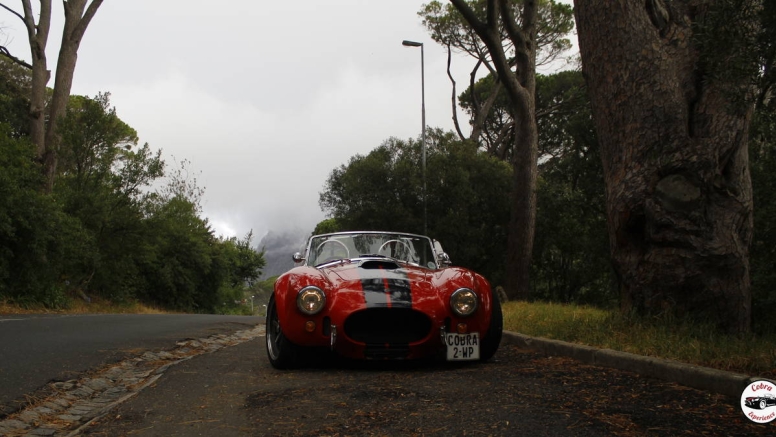 Sunset Cobra Experience - White With Red Stripes image 13