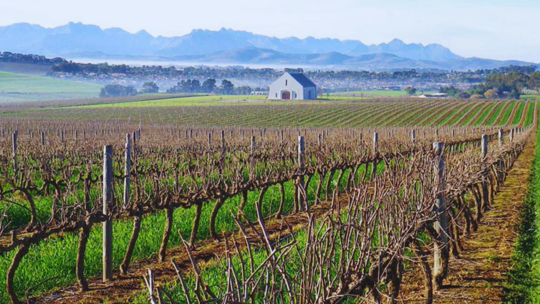 Wine Safari Tour-Northern Line image 10