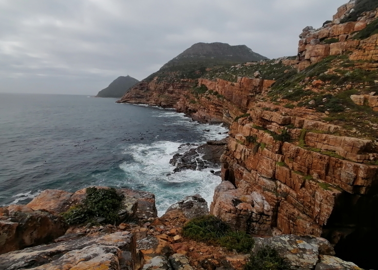 Cape Point Trail Run image 1