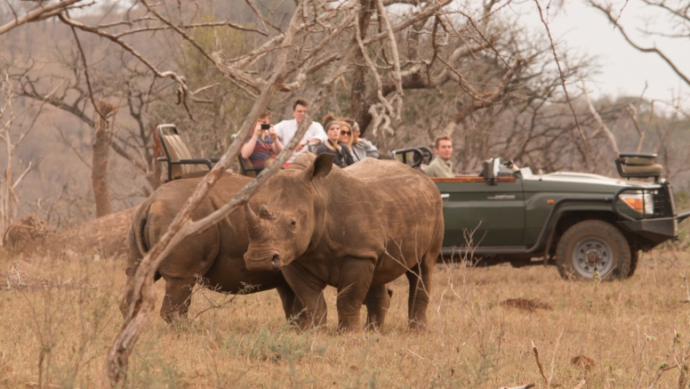 Manyoni Safari Drive (3-4 hrs) image 2