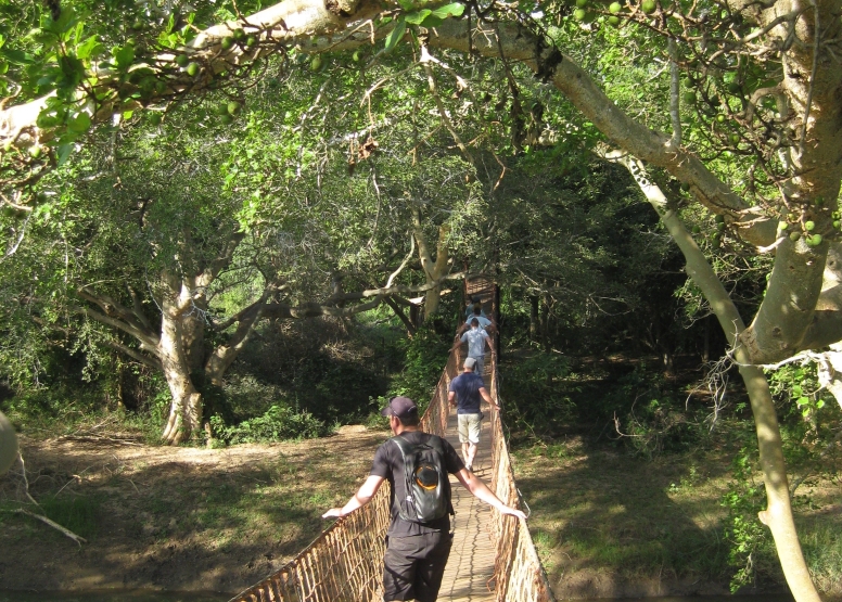 uMkhuze Fig Forest Walk image 3