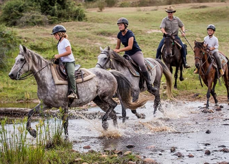 1 Hour Guided Horse Back Safari Beginners image 2