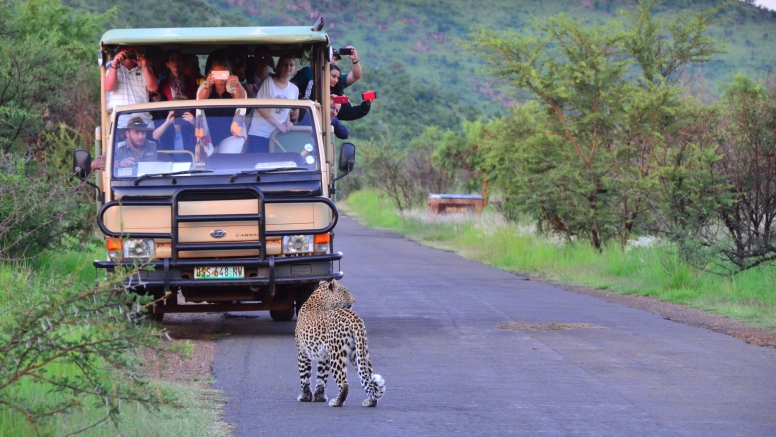 Private Game Drive Sun City - 25 Seater image 1