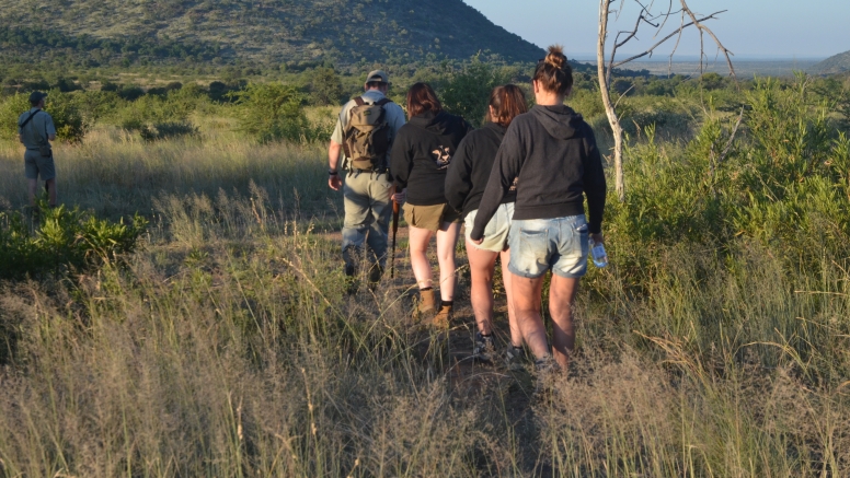 Pilanesberg Game Walk image 4