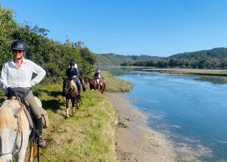 Kariega River Horse Ride image 9
