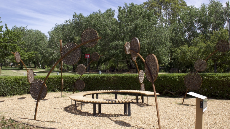 Stellenbosch Art Mile Walking Tour image 5