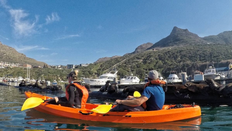 Guided Kayak Trip Hout Bay image 4