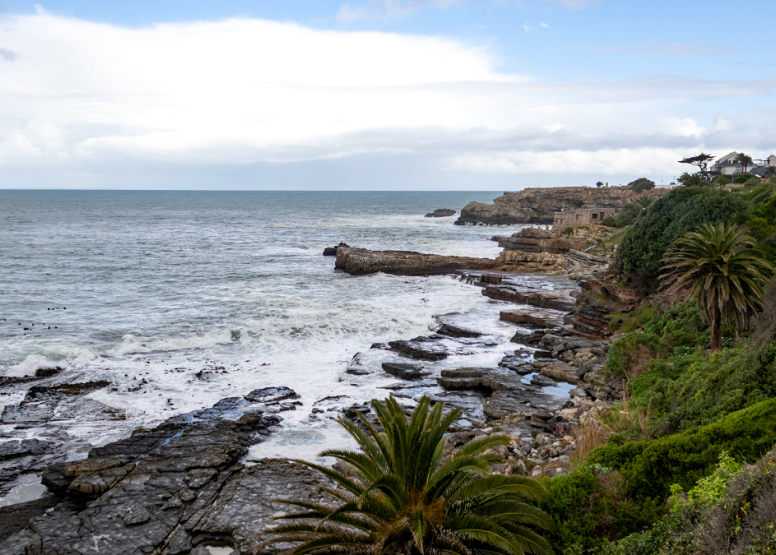 Full Day Hermanus image 1