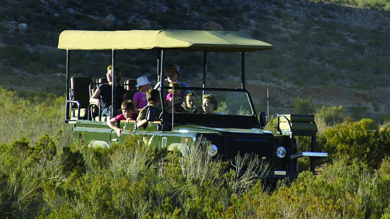 Quad bike Safari Combo image 8