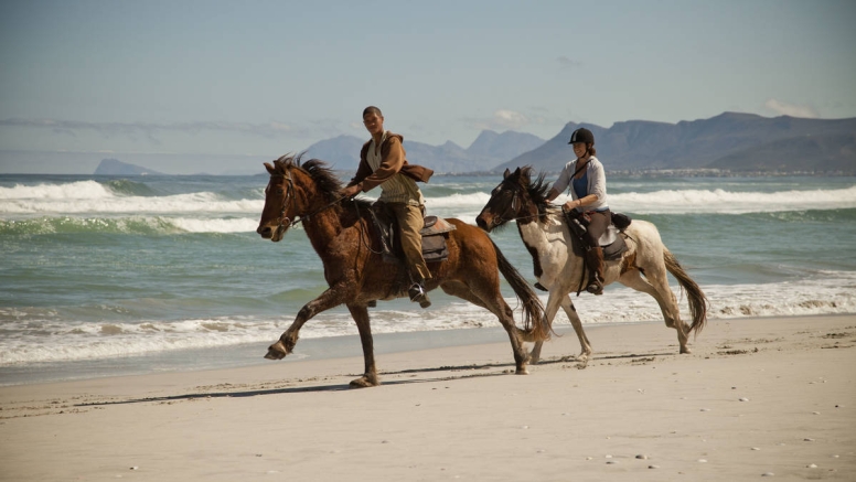 Beach Horse Ride - Stanford image 1