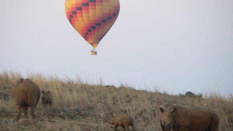 Exclusive Hot Air Ballooning Safari Flight for Two image 18