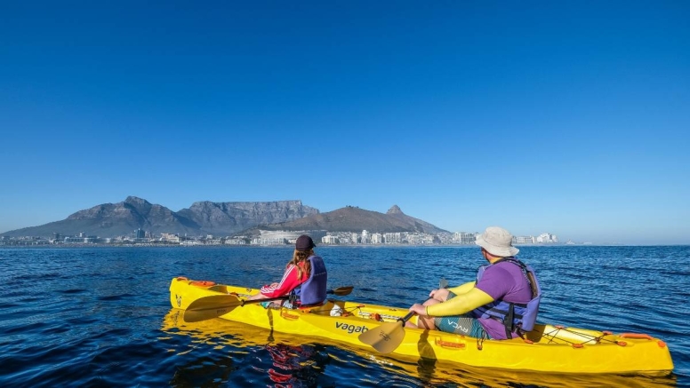 Table Bay – Dolphin Route image 2