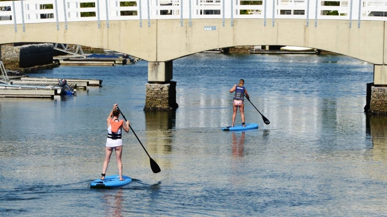 2 Hour SUP Board Hire Knysna image 3