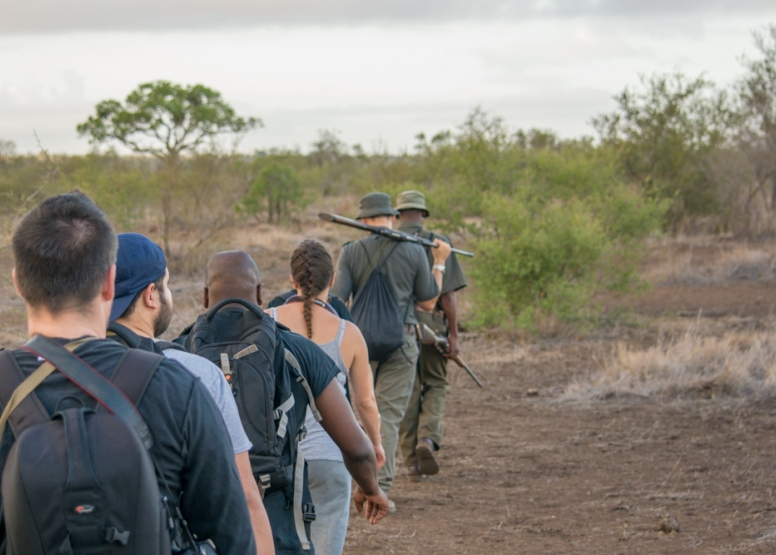 Bush Walk in the Kruger National Park image 1